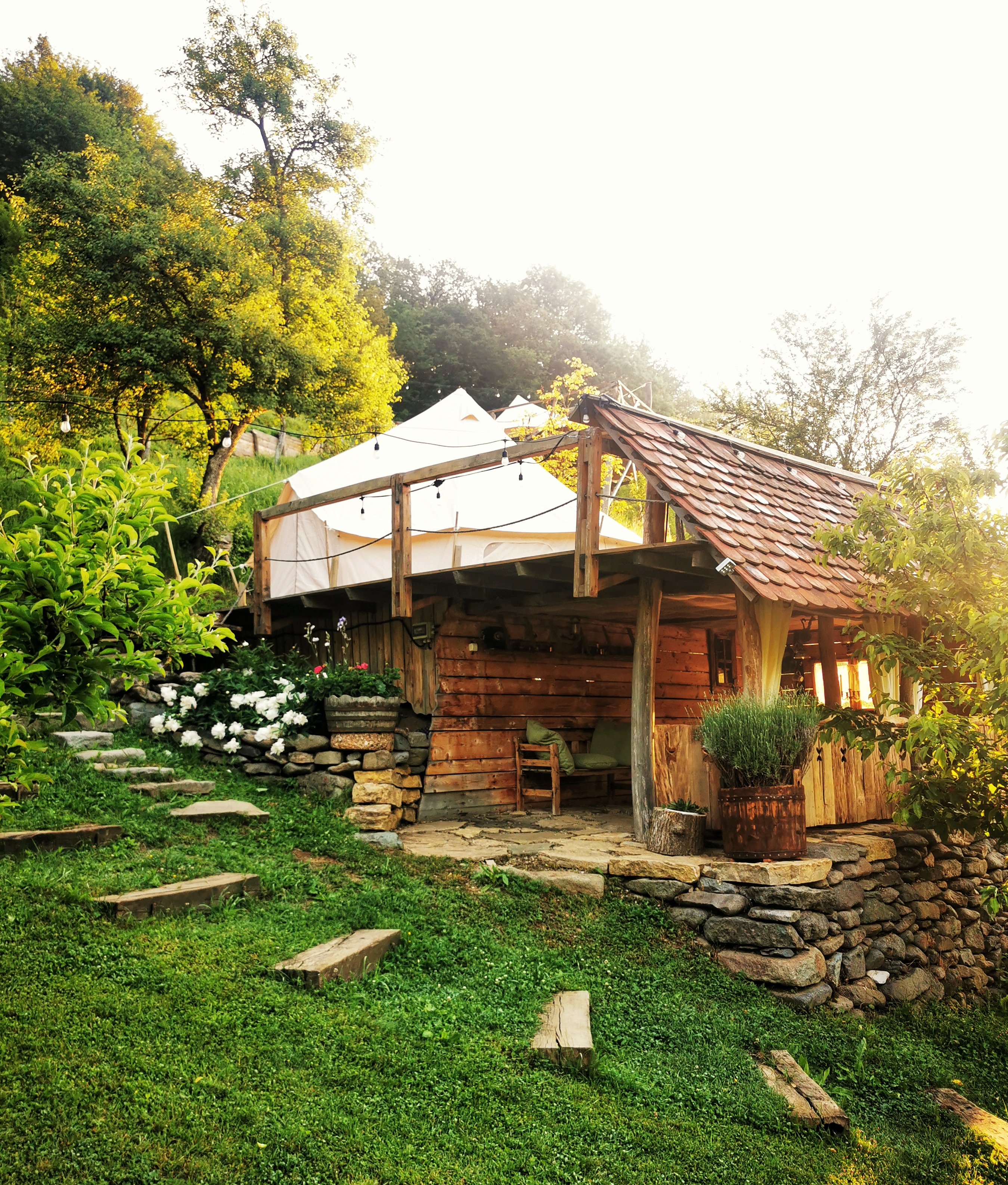 Cort Alexia exterior