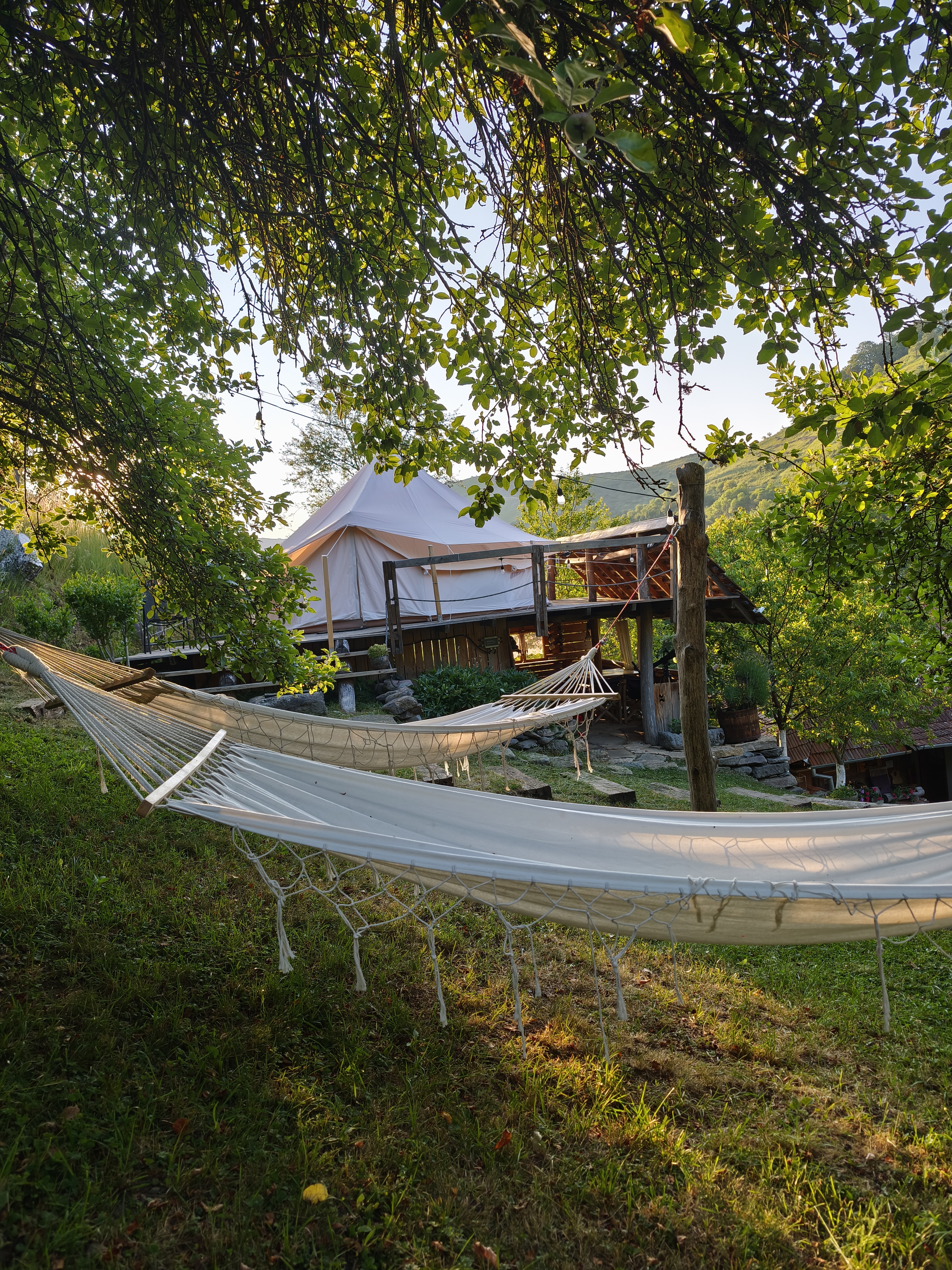 Cort Alexia hamac și exterior